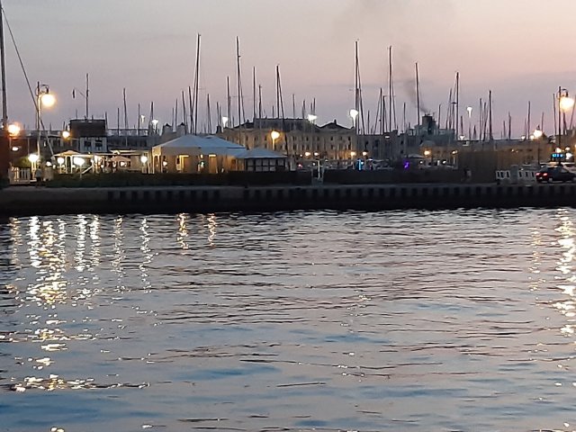 Trieste 2021 Alberi