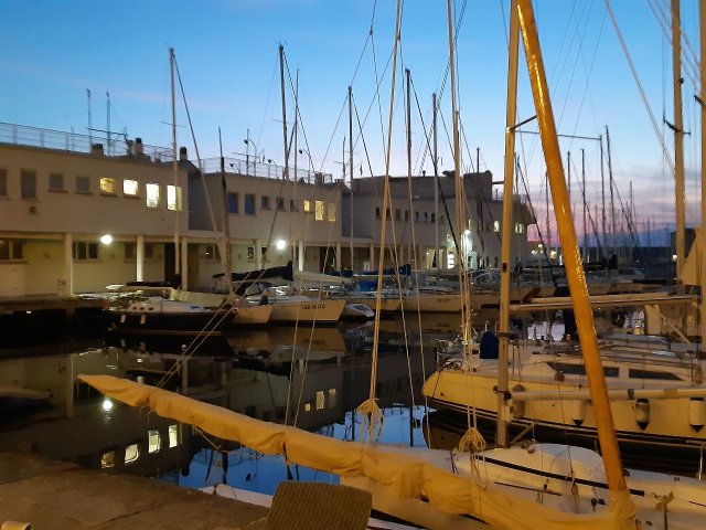 Trieste 2021 Ancora Alberi