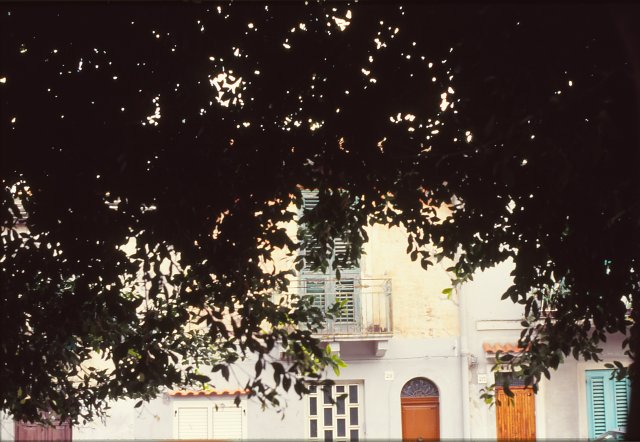 Dic.1993 foto 4