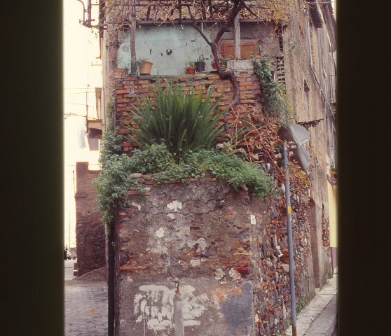 Dic.1993 foto 6