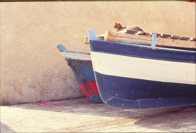 Dic.1993 foto 10