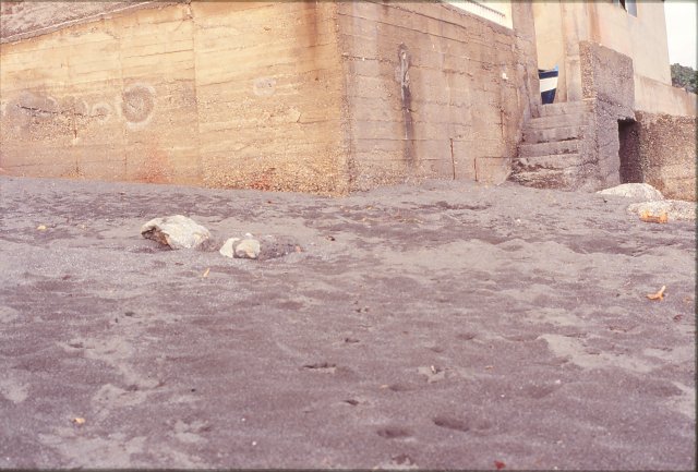 Dic.1993 foto 22