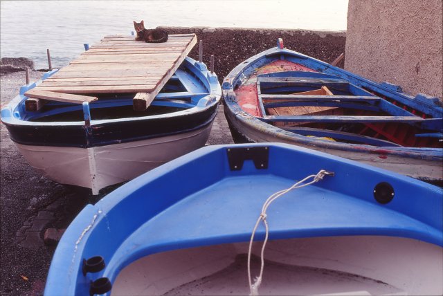 Dic.1993 foto 25