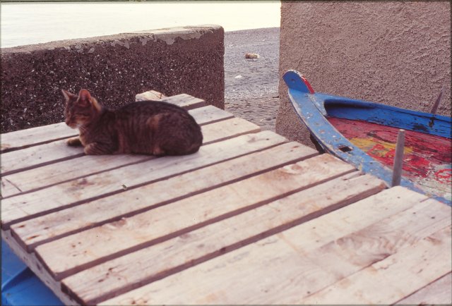 Dic.1993 foto 26
