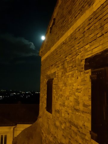 Luna affacciata sul tetto 2021